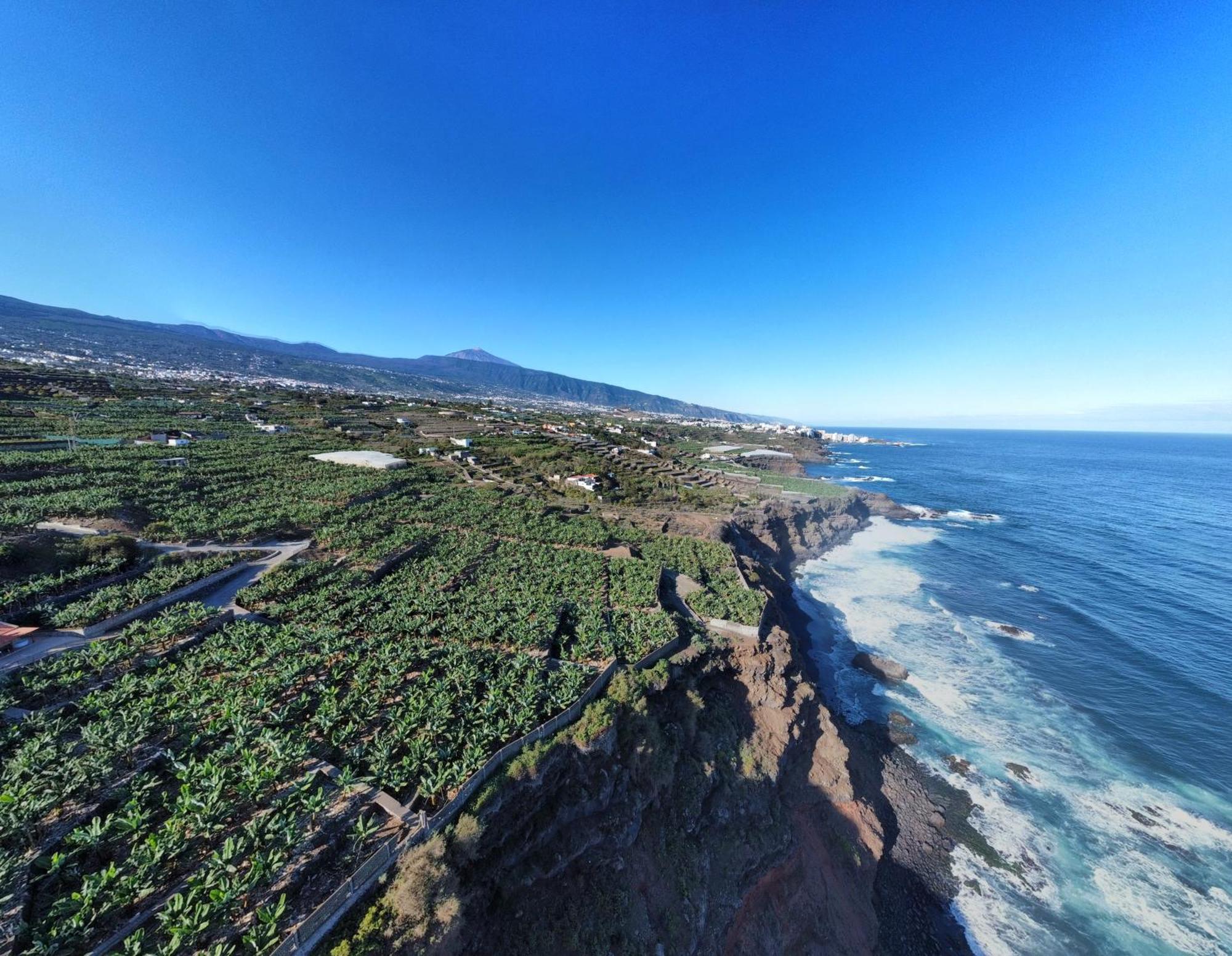 Holiday home Banana Paradise La Orotava
